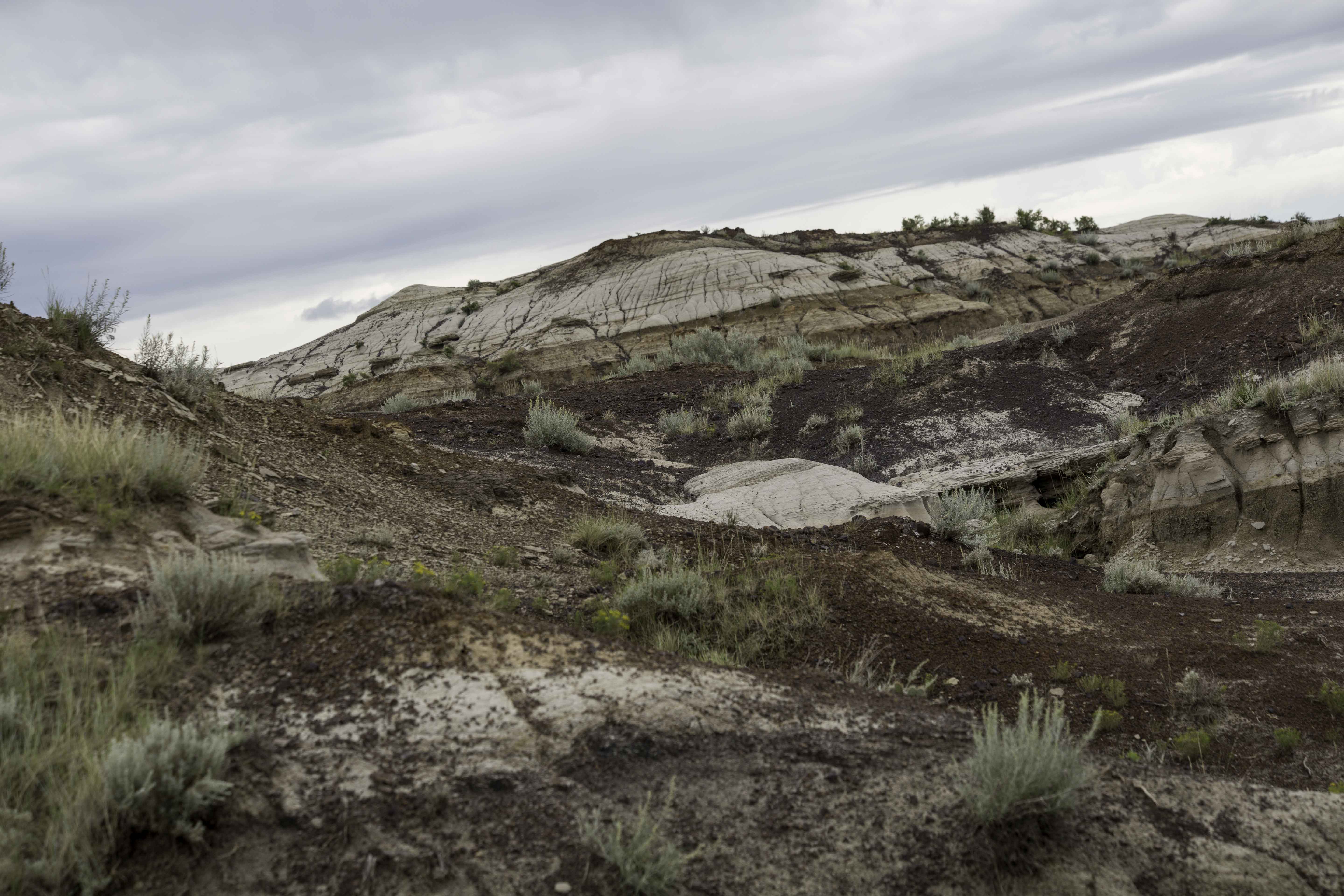  The Canadian Badlands - Alberta, Canada  