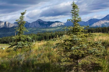  Banff National Park - Alberta, Canada 