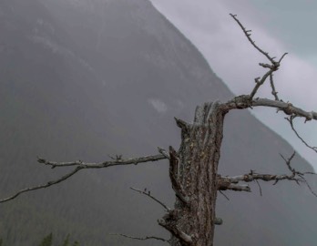  Banff National Park - Alberta, Canada 